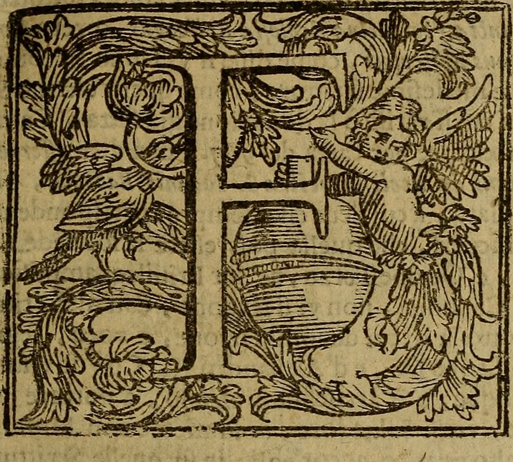 An illustration from Firenze città nobilissima, 1684, leaf 26