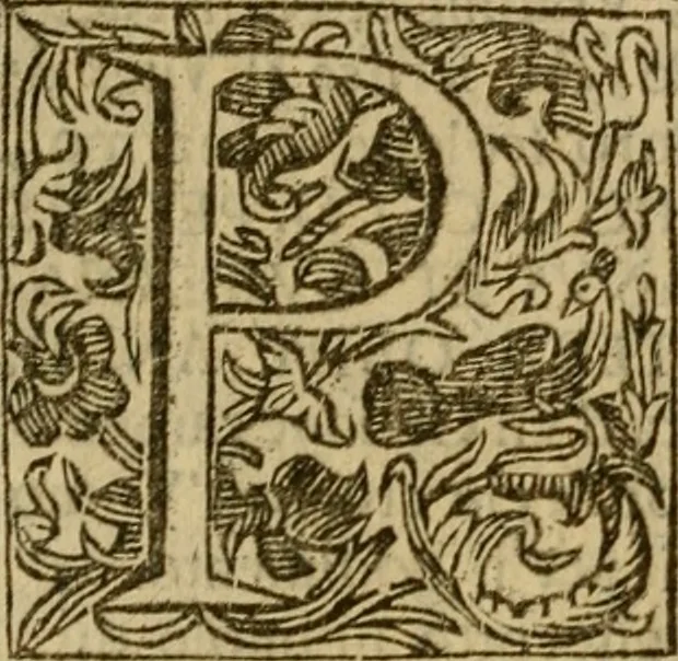 An illustration from Firenze città nobilissima, 1684, leaf 289