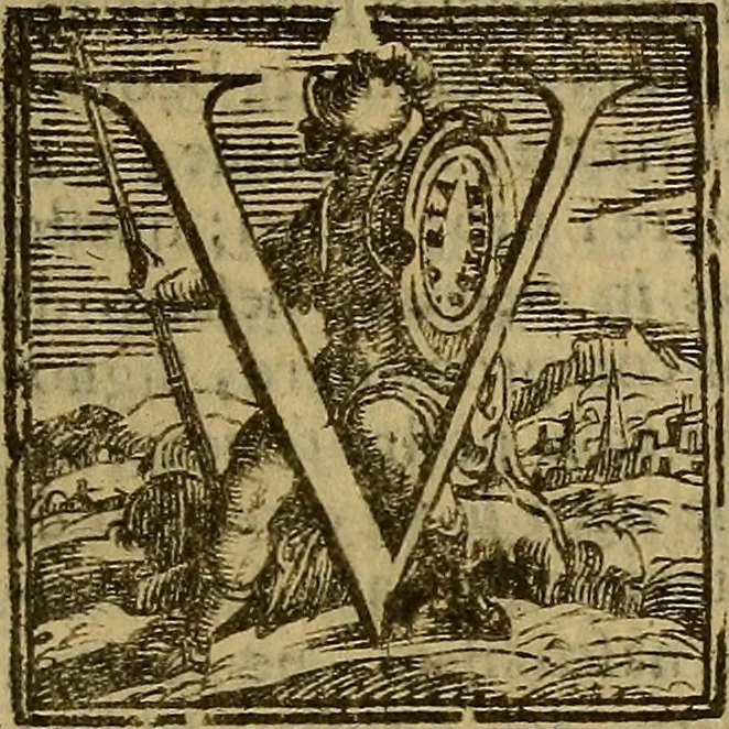 An illustration from Firenze città nobilissima, 1684, leaf 336