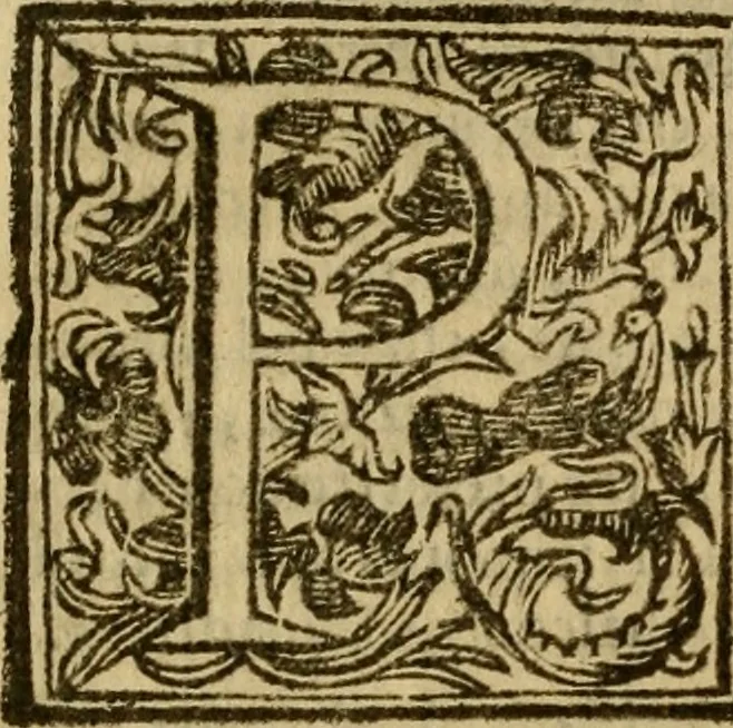 An illustration from Firenze città nobilissima, 1684, leaf 353