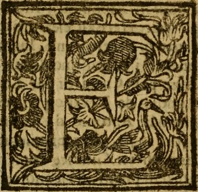 An illustration from Firenze città nobilissima, 1684, leaf 371