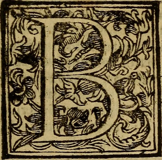 An illustration from Firenze città nobilissima, 1684, leaf 406