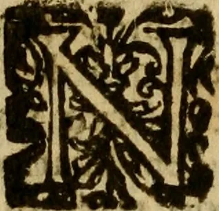 An illustration from Firenze città nobilissima, 1684, leaf 409