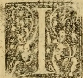 An illustration from Firenze città nobilissima, 1684, leaf 421