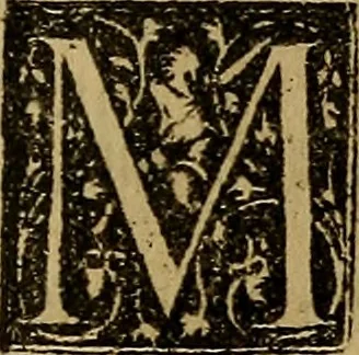 An illustration from Firenze città nobilissima, 1684, leaf 438