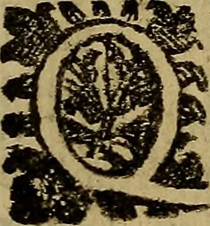 An illustration from Firenze città nobilissima, 1684, leaf 450
