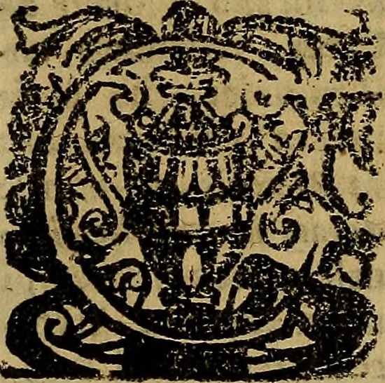An illustration from Firenze città nobilissima, 1684, leaf 454