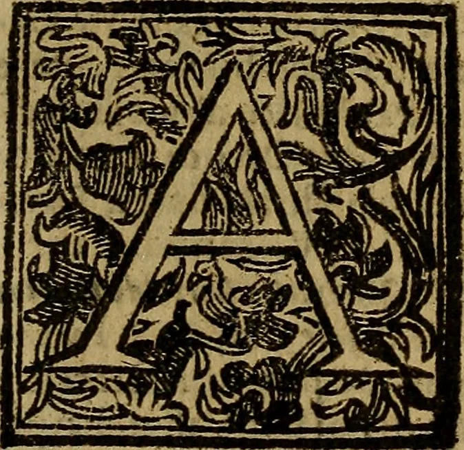 An illustration from Firenze città nobilissima, 1684, leaf 470