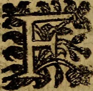 An illustration from Firenze città nobilissima, 1684, leaf 490