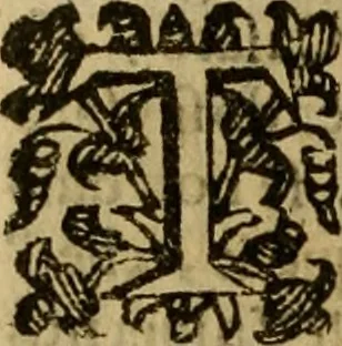 An illustration from Firenze città nobilissima, 1684, leaf 497
