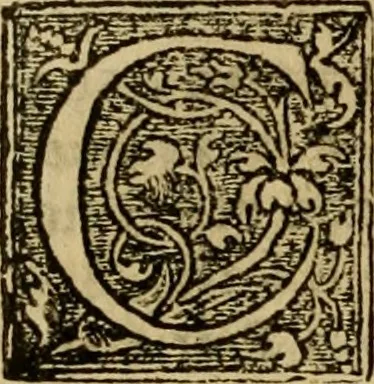 An illustration from Firenze città nobilissima, 1684, leaf 501