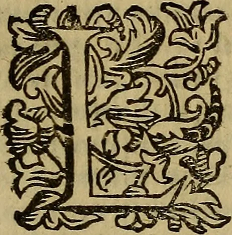 An illustration from Firenze città nobilissima, 1684, leaf 516