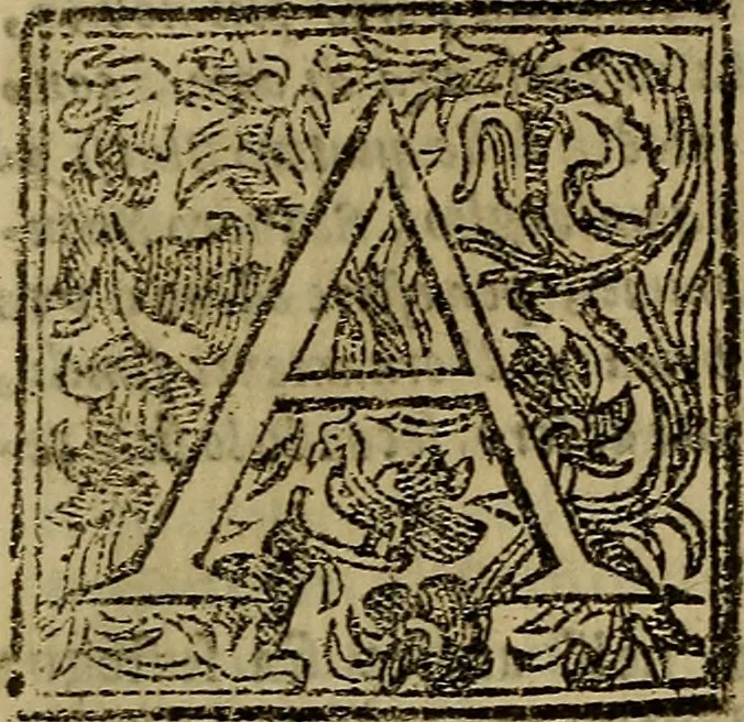 An illustration from Firenze città nobilissima, 1684, leaf 518