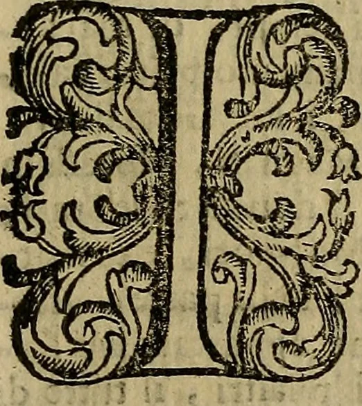 An illustration from Firenze città nobilissima, 1684, leaf 566
