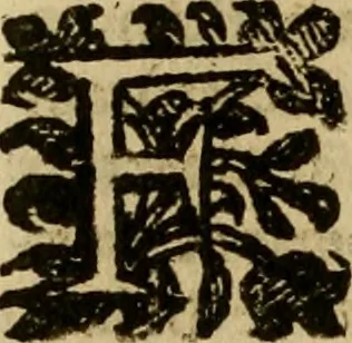 An illustration from Firenze città nobilissima, 1684, leaf 583