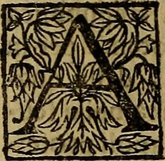 An illustration from Firenze città nobilissima, 1684, leaf 590
