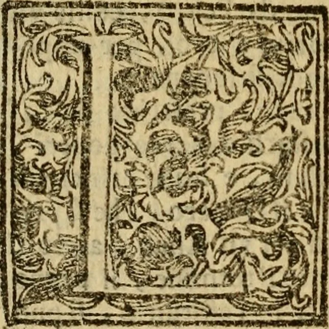 An illustration from Firenze città nobilissima, 1684, leaf 591