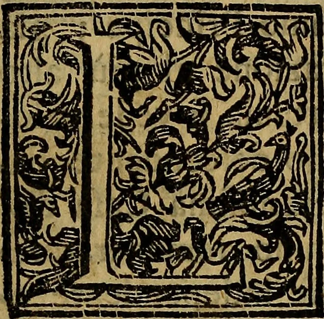 An illustration from Firenze città nobilissima, 1684, leaf 6