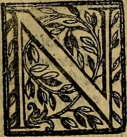 An illustration from Firenze città nobilissima, 1684, leaf 8