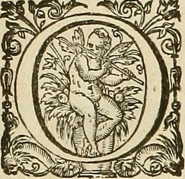 An illustration from The first booke of architecture : entreating of geometrie. Translated out of Italian into Dutch and out of Dutch into English, 1611, leaf 12
