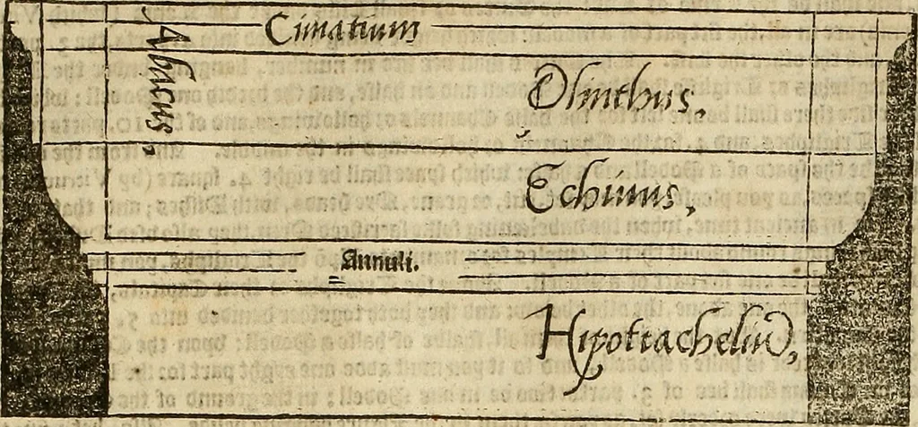 An illustration from The first booke of architecture : entreating of geometrie. Translated out of Italian into Dutch and out of Dutch into English, 1611, leaf 272