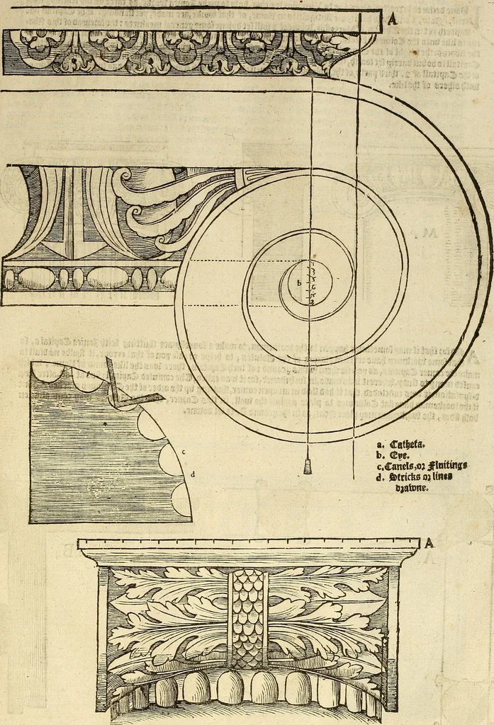 An illustration from The first booke of architecture : entreating of geometrie. Translated out of Italian into Dutch and out of Dutch into English, 1611, leaf 310