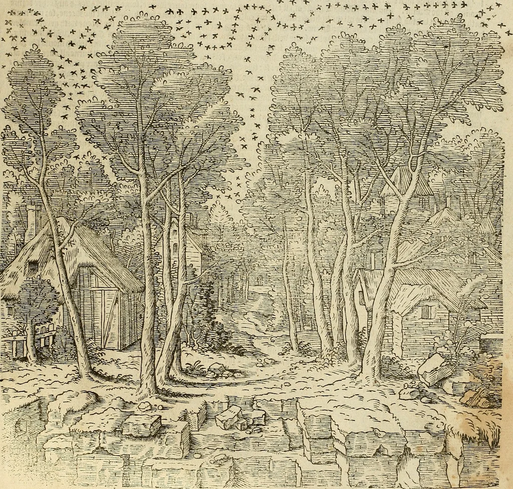 An illustration from The first booke of architecture : entreating of geometrie. Translated out of Italian into Dutch and out of Dutch into English, 1611, leaf 92