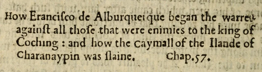 An illustration from The first booke of the Historie of the discouerie and conquest of the East Indias : enterprised by the Portingales in their daungerous nauigations in the time of King Don Iohn, the second of that name : vvhich historie conteineth much varietie of matter, very profitable for all nauigators and not vnpleasaunt to the readers, 1582, leaf 256
