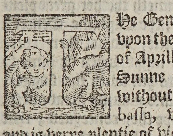 An illustration from The first booke of the historie of the discouerie and conquest of the East Indias, enterprised by the Portingales, in their daungerous nauigations, in the time of King Don Iohn, the second of that name. : VVhich historie conteineth much varietie of matter, very profitable for all Nauigators, and not vnpleasaunt to the Readers., 1582, leaf 61