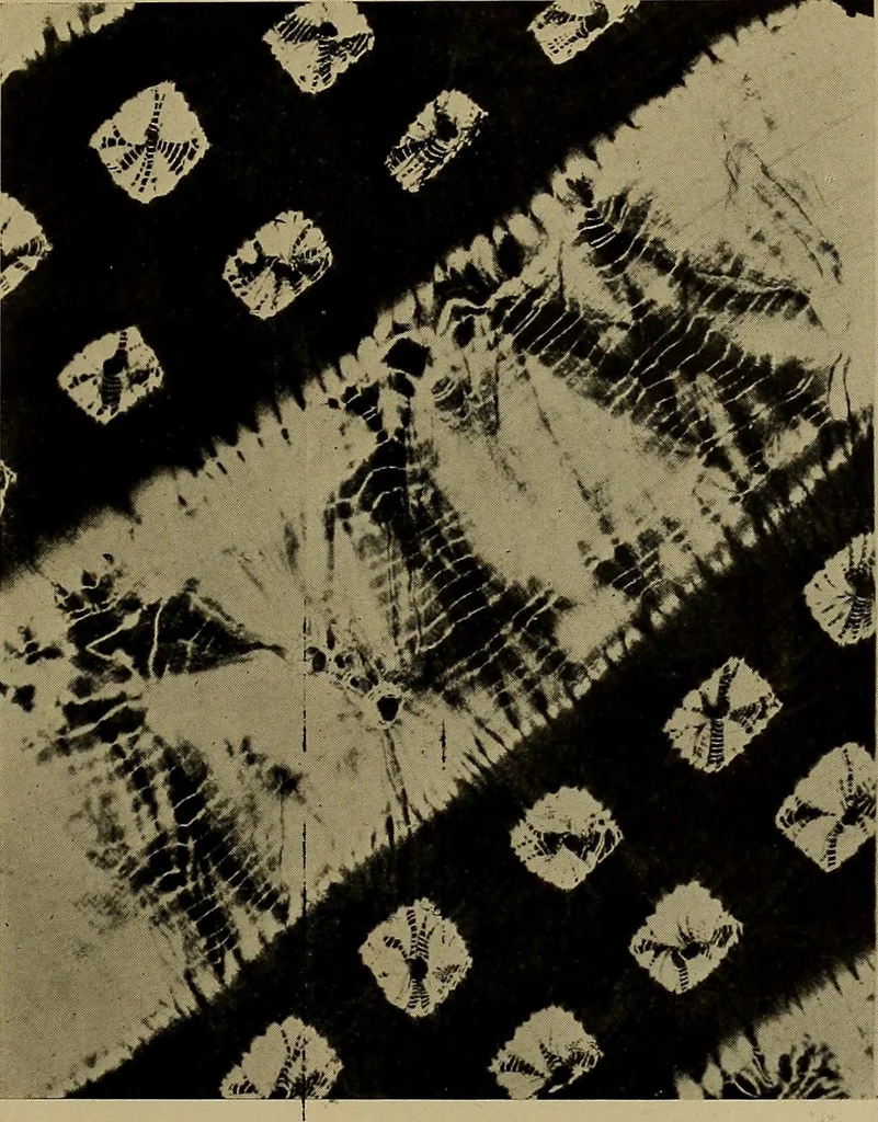 An illustration from First lessons in batik; a handbook in batik, tie-dyeing and all pattern dyeing, 1921, leaf 77