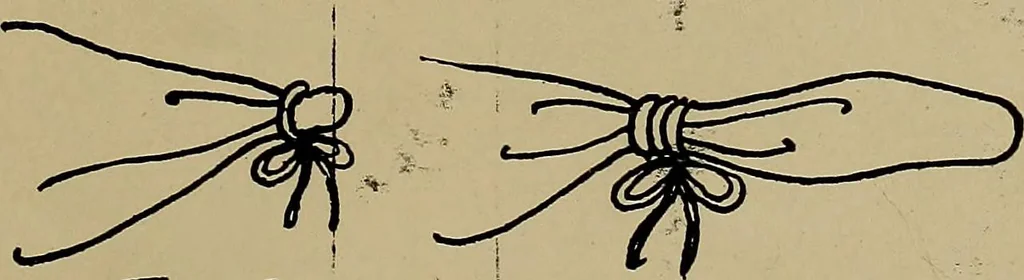 An illustration from First lessons in batik; a handbook in batik, tie-dyeing and all pattern dyeing, 1921, leaf 77