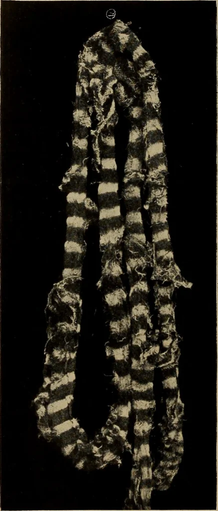 An illustration from First lessons in batik; a handbook in batik, tie-dyeing and all pattern dyeing, 1921, leaf 78