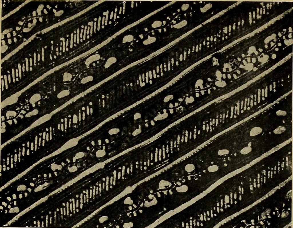An illustration from First lessons in batik; a handbook in batik, tie-dyeing and all pattern dyeing, 1921, leaf 93