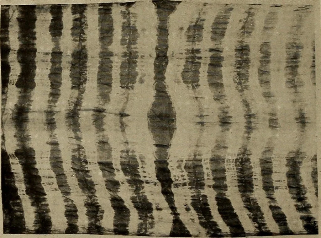 An illustration from First lessons in batik; a handbook in batik, tie-dyeing and all pattern dyeing, 1921, leaf 94