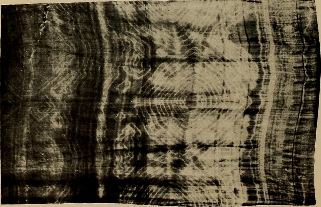 An illustration from First lessons in batik; a handbook in batik, tie-dyeing and all pattern dyeing, 1921, leaf 94