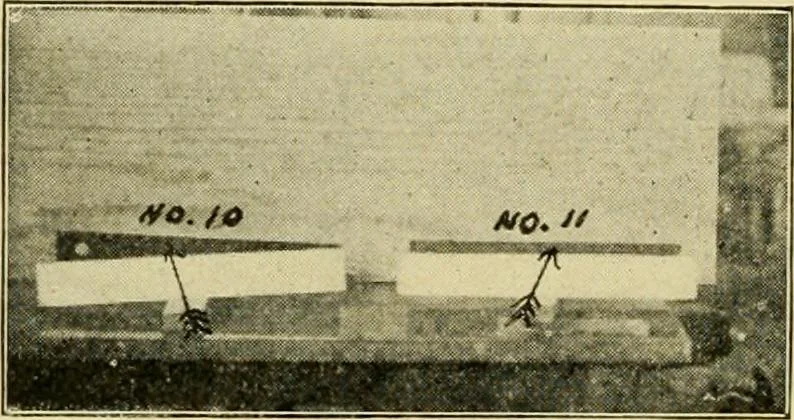 An illustration from First lessons in manual training and carpentry, 1907, leaf 23