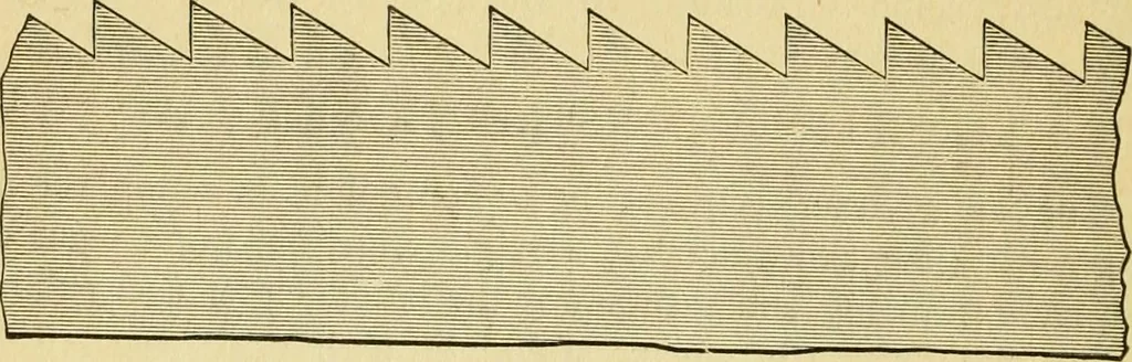 An illustration from First lessons in manual training and carpentry, 1907, leaf 7