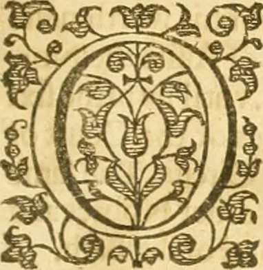 An illustration from The first part of the institutes of the lawes of England, or, commentarie upon Littleton : not the name of a lawyer onely, but of the law it selfe..., 1628, leaf 6