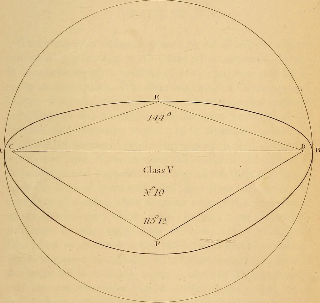 An illustration from First principles of symmetrical beauty, 1846, leaf 216