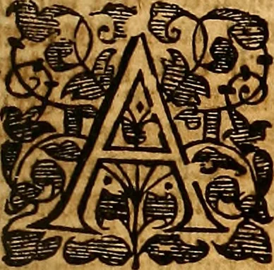 An illustration from The first [-third] part of the reports of Sr George Croke Kt. : late one of the justices of the Court of Kings-bench, and formerly one of the justices of the Court of Common-bench; of such select cases as were adjudged in the said courts ..., 1683, leaf 640