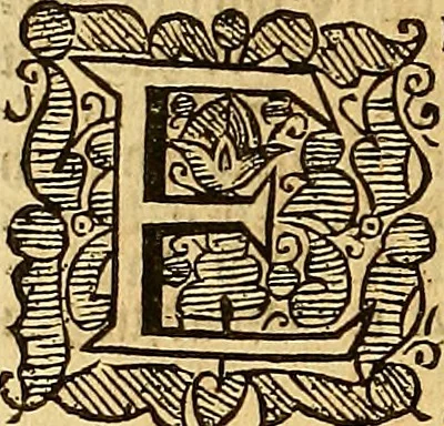 An illustration from The first [-third] part of the reports of Sr George Croke Kt. : late one of the justices of the Court of Kings-bench, and formerly one of the justices of the Court of Common-bench; of such select cases as were adjudged in the said courts ..., 1683, leaf 735