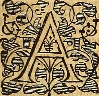 An illustration from The first [-third] part of the reports of Sr George Croke Kt. : late one of the justices of the Court of Kings-bench, and formerly one of the justices of the Court of Common-bench; of such select cases as were adjudged in the said courts ..., 1683, leaf 956