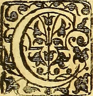 An illustration from The first [-third] part of the reports of Sr George Croke Kt. : late one of the justices of the Court of Kings-bench, and formerly one of the justices of the Court of Common-bench; of such select cases as were adjudged in the said courts ..., 1683, leaf 336