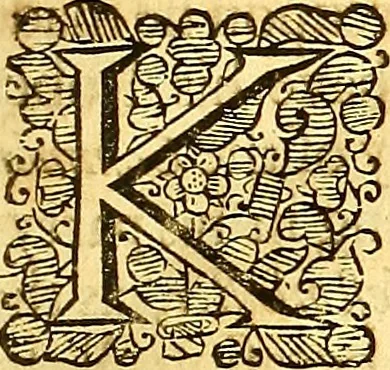 An illustration from The first [-third] part of the reports of Sr George Croke Kt. : late one of the justices of the Court of Kings-bench, and formerly one of the justices of the Court of Common-bench; of such select cases as were adjudged in the said courts ..., 1683, leaf 38