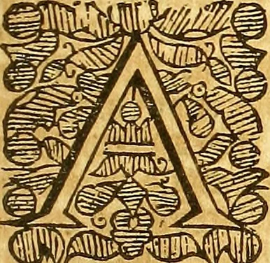 An illustration from The first [-third] part of the reports of Sr George Croke Kt. : late one of the justices of the Court of Kings-bench, and formerly one of the justices of the Court of Common-bench; of such select cases as were adjudged in the said courts ..., 1683, leaf 506
