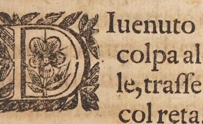 An illustration from Fiume del terrestre paradiso : diuiso in quattro capi, o discorsi / trattato difensivo del sig. dottor don Niccolò Catalano da Santo Mauro ; oue si ragguaglia il mondo nella verità dell'antica forma d'habito de' frati minori istituita da S. Francesco ; dato alle stampe dal P. M. Giulio Antonio Catalano da S. Mauro ..., 1652, leaf 31