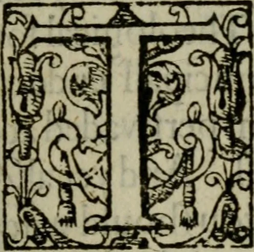 An illustration from Five bookes, of philosophicall comfort, fvll of Christian consolation, written a 1000 yeeres since, 1609, leaf 8