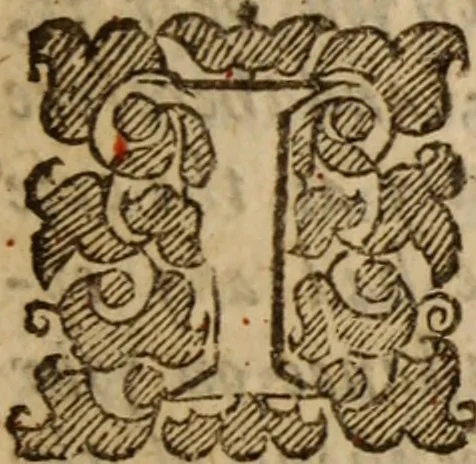 An illustration from Five disputations of church-government, and worship, 1659, leaf 14