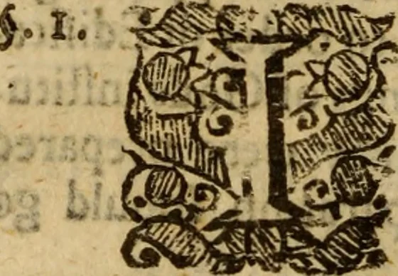 An illustration from Five disputations of church-government, and worship, 1659, leaf 545