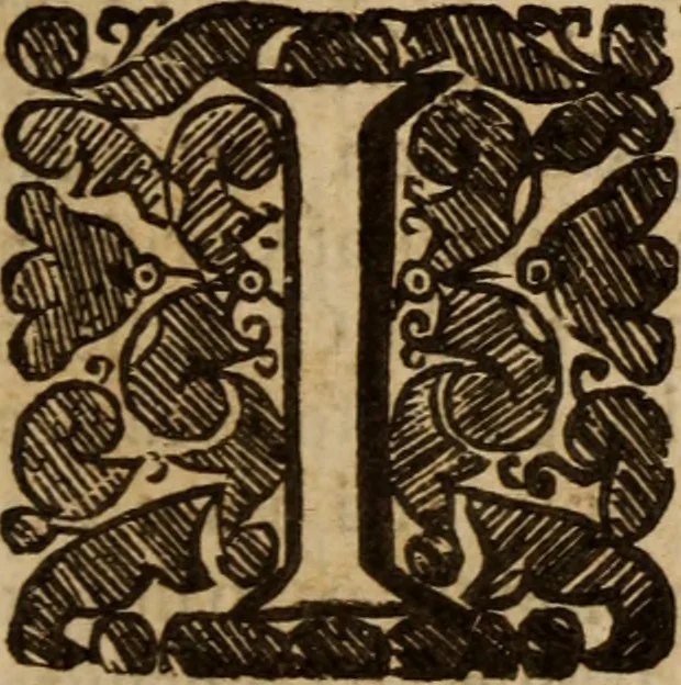 An illustration from Five disputations of church-government, and worship, 1659, leaf 86